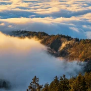 Karlsruher Grat von oben im Nebel