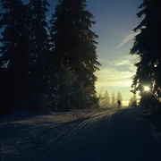 Nachtloipe in den frühen Morgenstunden