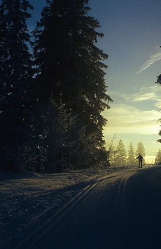 Nachtloipe in den frühen Morgenstunden