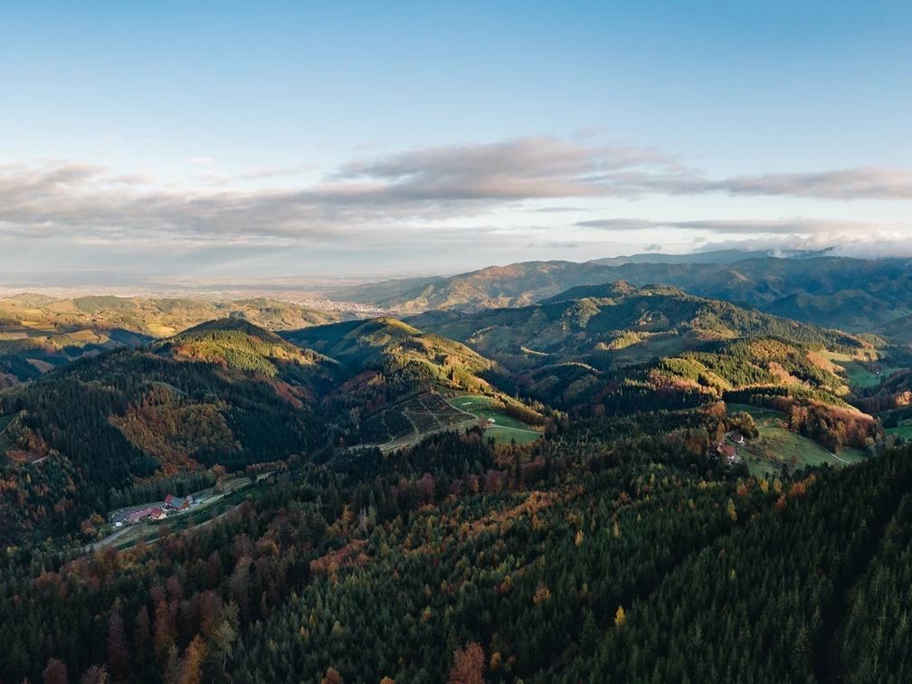 Ausblick auf die herbstlich vielfältige Nationalparkregion Schwarzwald