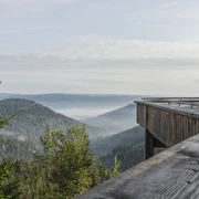 Ellbachseeblick Kniebis