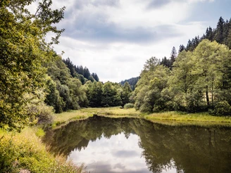 Märtesweiher Klosterreichenbach