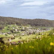 Blick auf Tonbach