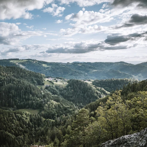 Blick von einem Berg auf Hügel mit dunkelgrünem sonnigen Wald und kleinen Dörfern