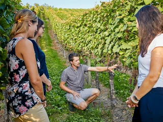 Aesch_Klosterhof_Weindegustation_Führung im Rebberg_Brechbühl_low