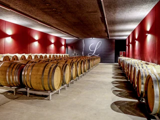 Weingut Lindenmann_Fässer