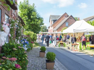 © Föhr Tourismus GmbH_Dorfmarkt in Oevenum.JPG