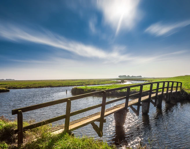 Hooge_c_Touristikbüro Hallig Hooge.jpg