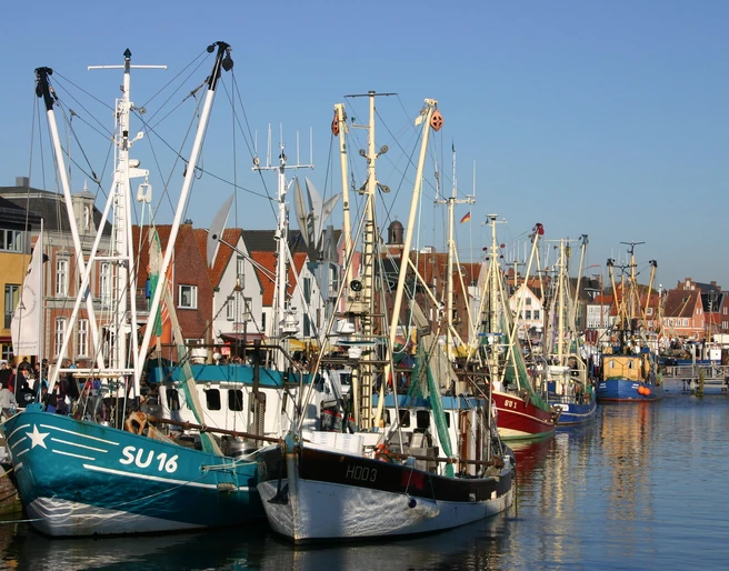 Hafenkulisse_Krabbentage_TSMH© Tourismus und Stadtmarketing Husum GmbH.jpg