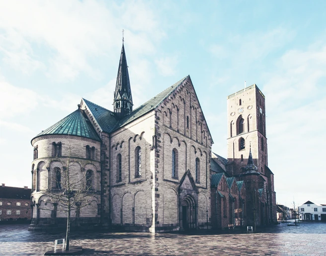 © Lasse Lagoni_Ribe Dom.jpg