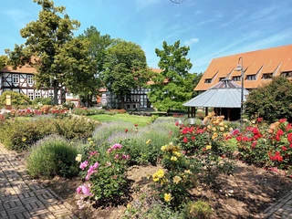 Rosengarten Salzgitter-Bad