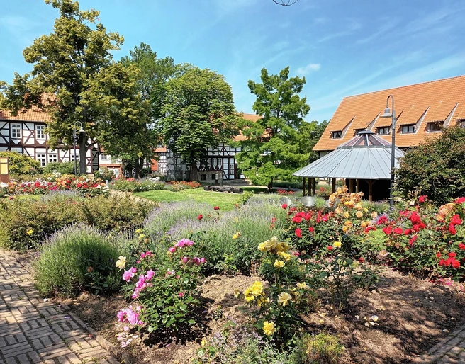 Rosengarten Salzgitter-Bad