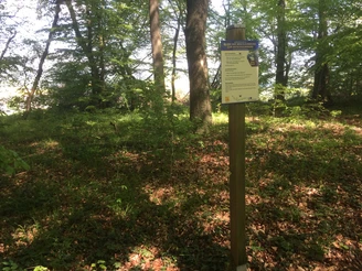 Station Entschleunigung