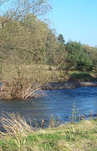 Innerste, Flussverlauf bei Salzgitter-Ringelheim