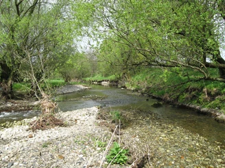 Innerste, Flussverlauf bei Salzgitter-Ringelheim