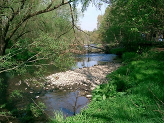 Innerste, Flussverlauf bei Salzgitter-Ringelheim