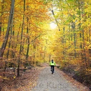 Radfahren im Salzgitter Höhenzug