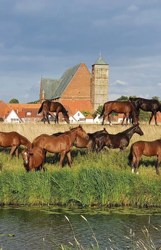 Stadt Verden (Aller)