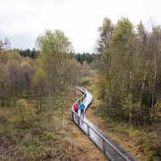 Wanderer auf dem Steg im Hochmoor Mecklenbruch