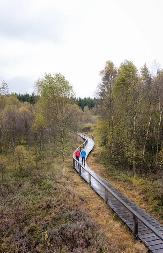 Wanderer auf dem Steg im Hochmoor Mecklenbruch