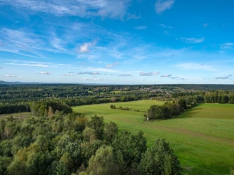 Blick vom Hochsollingturm auf die Wälder des Sollings