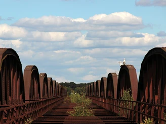 Störche auf Dömitzer Brücke