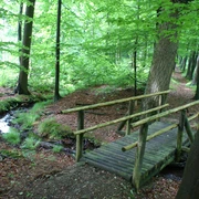 Brücke auf dem Bergmannsweg