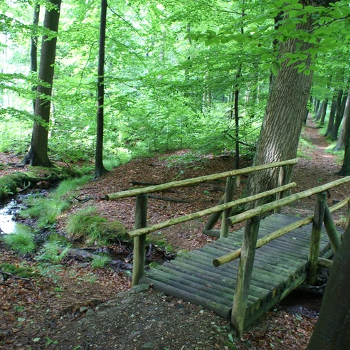 Brücke auf dem Bergmannsweg