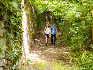 Klostertour - Wanderung entlang historischer Sandsteinmauern