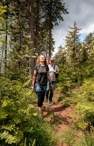 Wanderer auf dem Hilskammweg (Gr 1)