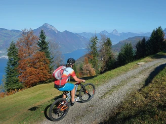 Aufstieg auf Klewenalp