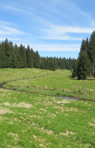 "Schwarze Pockau" bei Kühnhaide