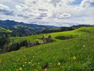 Typische Napflandschaft bei Menzberg