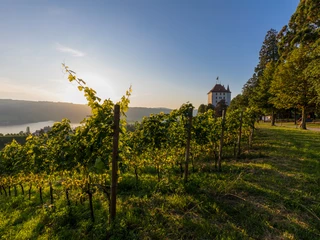 Schloss Heidegg
