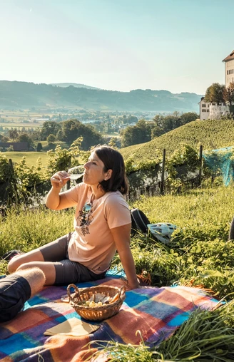 Das Weingut des Schlosses Heidegg im Seetal eignet sich bestens für einen Zwischenstopp auf der Route 1291.