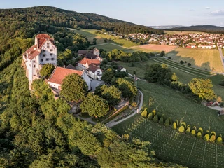 Schloss Wildegg