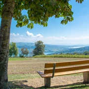 Aussicht Homberg