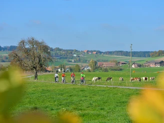 Herzschlaufe Seetal Westast