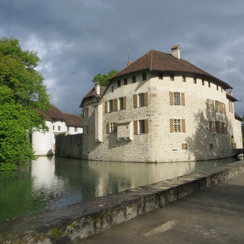 Seetal: Wandertipp Nr.9 Schloss Hallwyl - Eichberg - Schloss Hallwyl