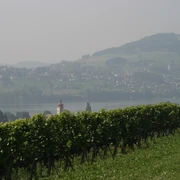 Seetal: Wandertipp Nr.10 Meisterschwanden - Bettwil - Aesch LU
