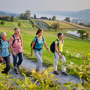 Wandergruppe auf dem Eichberg Seengen