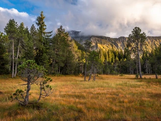 Moorlandschaft von nationaler Bedeutung in Sörenberg