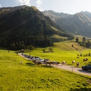 Rush Hour in Sörenberg bei der Habchegg