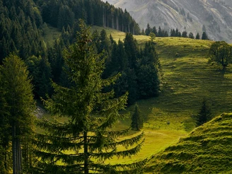 Über den Glaubenbielenpass auf der der Panoramastrasse. Die Moorlandschaft verzückt mit ihrer wilden Lanschaft. Im Hintergrund das Brienzer Rothorn.