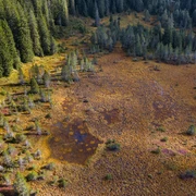 Einzigartige Moorlandschaft in der Nähe des Seewenseelis