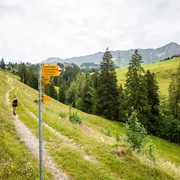 Wanderweg zwischen Sörenberg und Kemmeribodenbad.