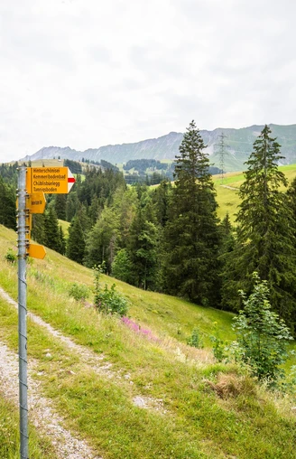 Wanderweg zwischen Sörenberg und Kemmeribodenbad.