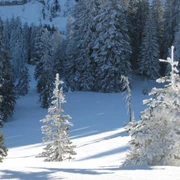 Auf dem Winterwanderweg im Gebiet Schwändeli