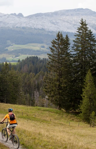 Auf der Bike-Tour erlebt man die Moor- und Karstlandschaft Sörenbergs hautnah