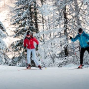 Schnee, Berge, Wald, Loipen, Langläufer/In